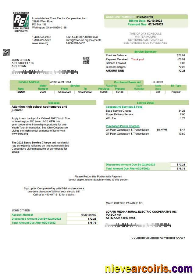 USA Ohio Lorain-Medina Rural Electric utility bill